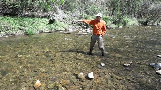 Performing a Habitat Assessment of the Rockfish River