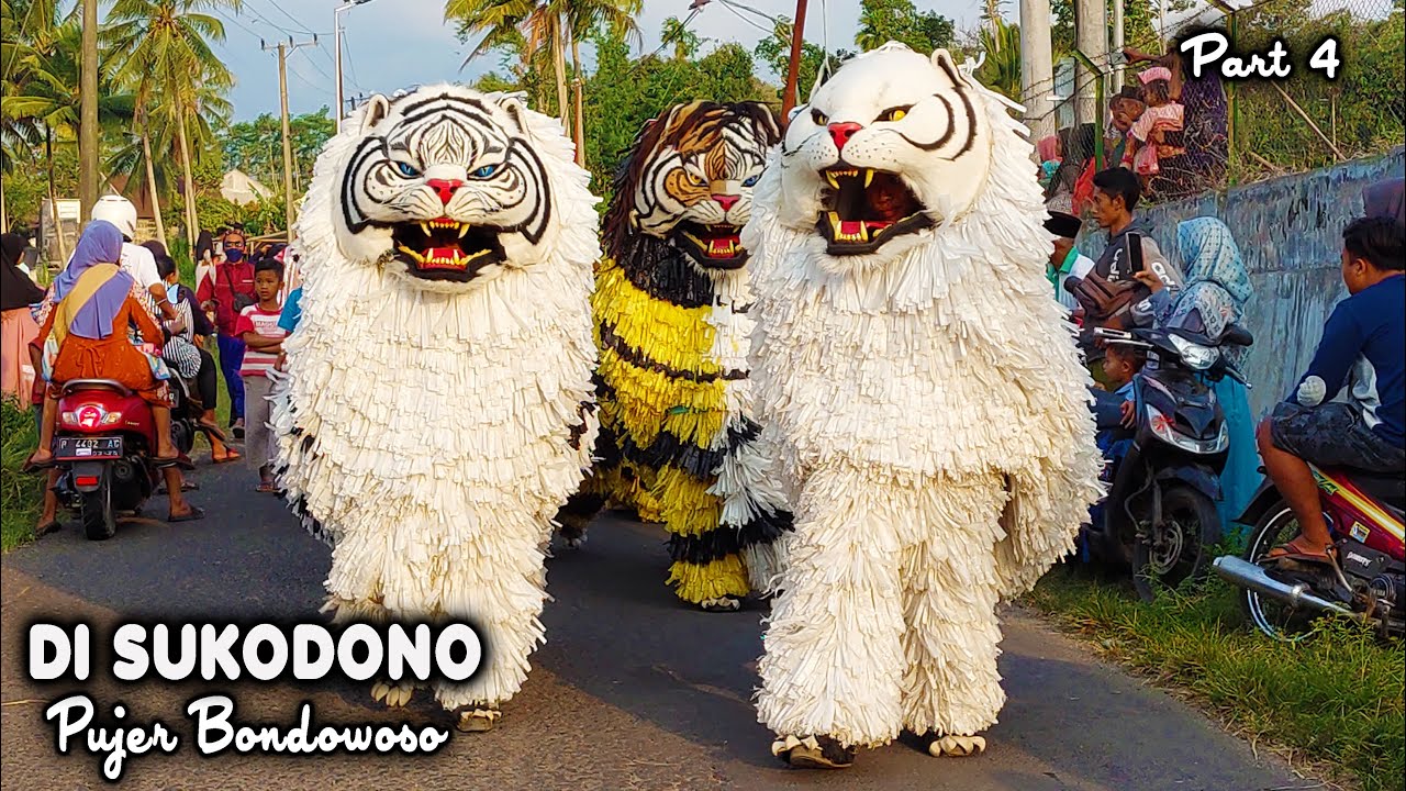 KIRAB CAN MACANAN SINGO MANGGALA & DRUMBAND MAONG REMAS DI SUKODONO PUJER BONDOWOSO PART4.mp4