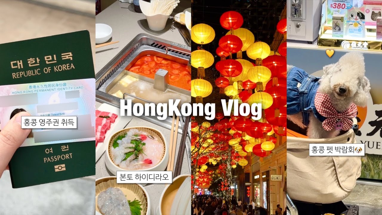 홍콩Vlog | 드디어 영주권 땀 오예✌🏻중국 본토 하이디라오, 샘스클럽 장보기, 흑임자 처돌이 홍콩 빵집털기🥯완차이 모토리노, 펫 박람회, 홍콩사는 한국인