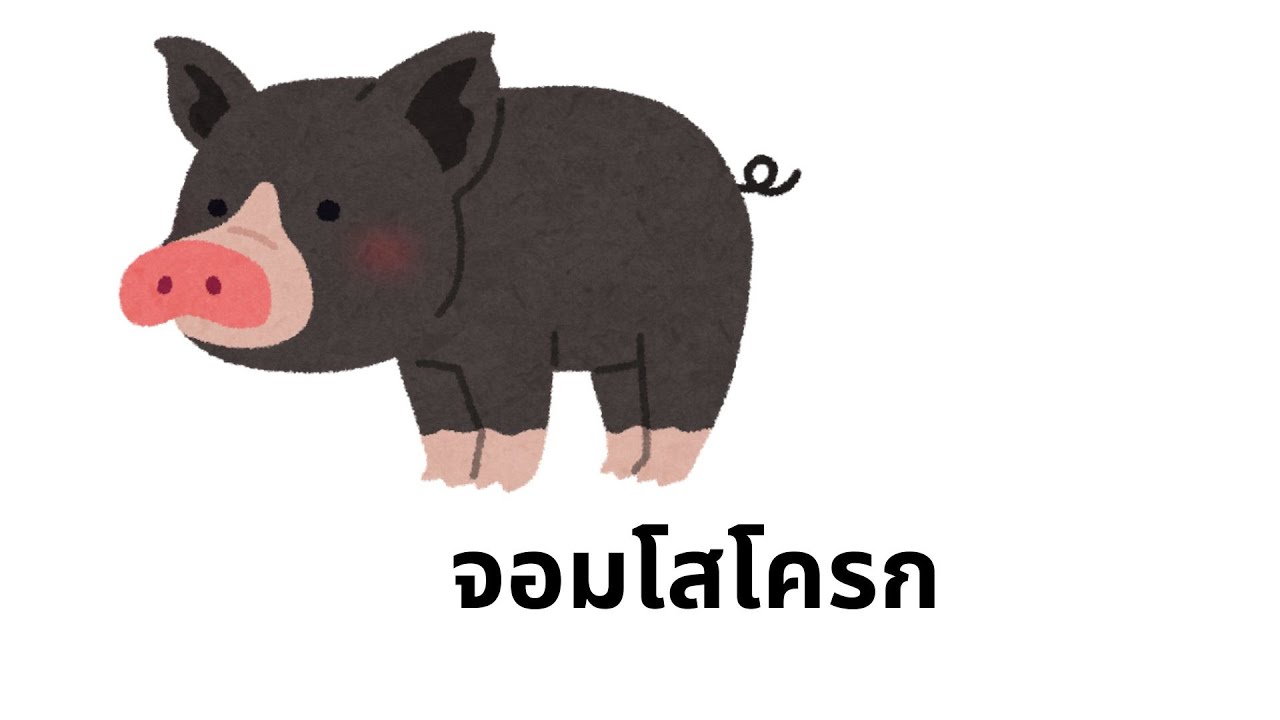 ทำมาหากินเลี้ยงครอบครัวตัวเป็นเกลียวหัวเป็นหมู