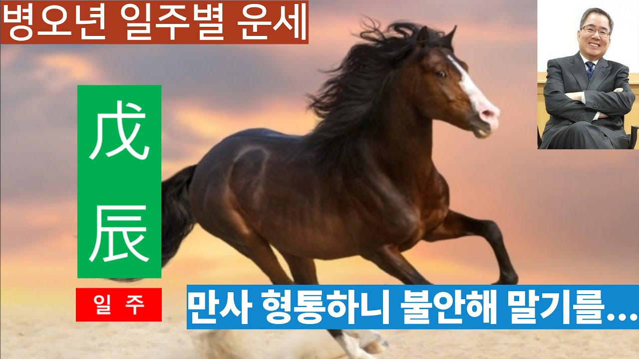 병오년운세ㅣ무진일주, 만사형통하니 불안해 할 필요 없다. 기이한 발복과 횡재운이 있다