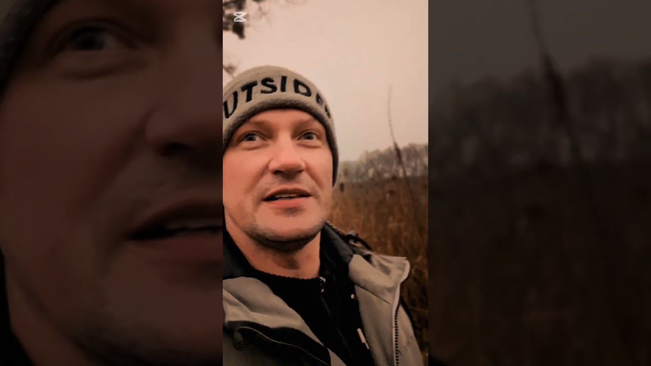 BAJORKO ZA TORAMI | DOLICE | ZACHODNIOPOMORSKIE | POLSKA | 2024