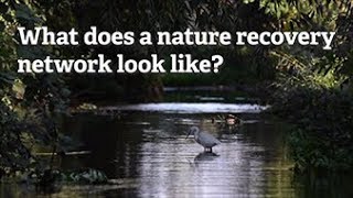 Nature Recovery Appeal 2019 screenshot 3