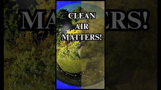 Breathe Easy: How to Improve Air Quality and Health! #motivation #airqualitymatters  #healthylife