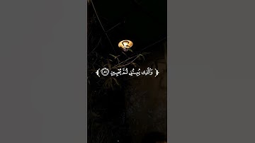 تـِلاوة مِـن سُـورة الشعراء || القارئ : عثمان مشعل الحداد