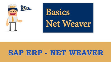 ERP SAP Basis - Net Weaver | Concepts of Basis and Net weaver |