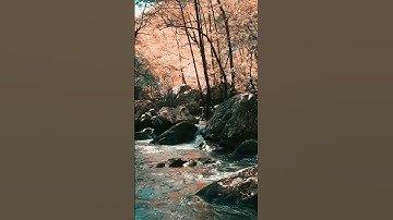 Cinematic Color Grading #shorts #short #youtubeshorts #shortsvideo #shortvideo #ytshorts #shortsfeed