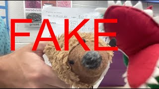 The Fake Weather Forecast