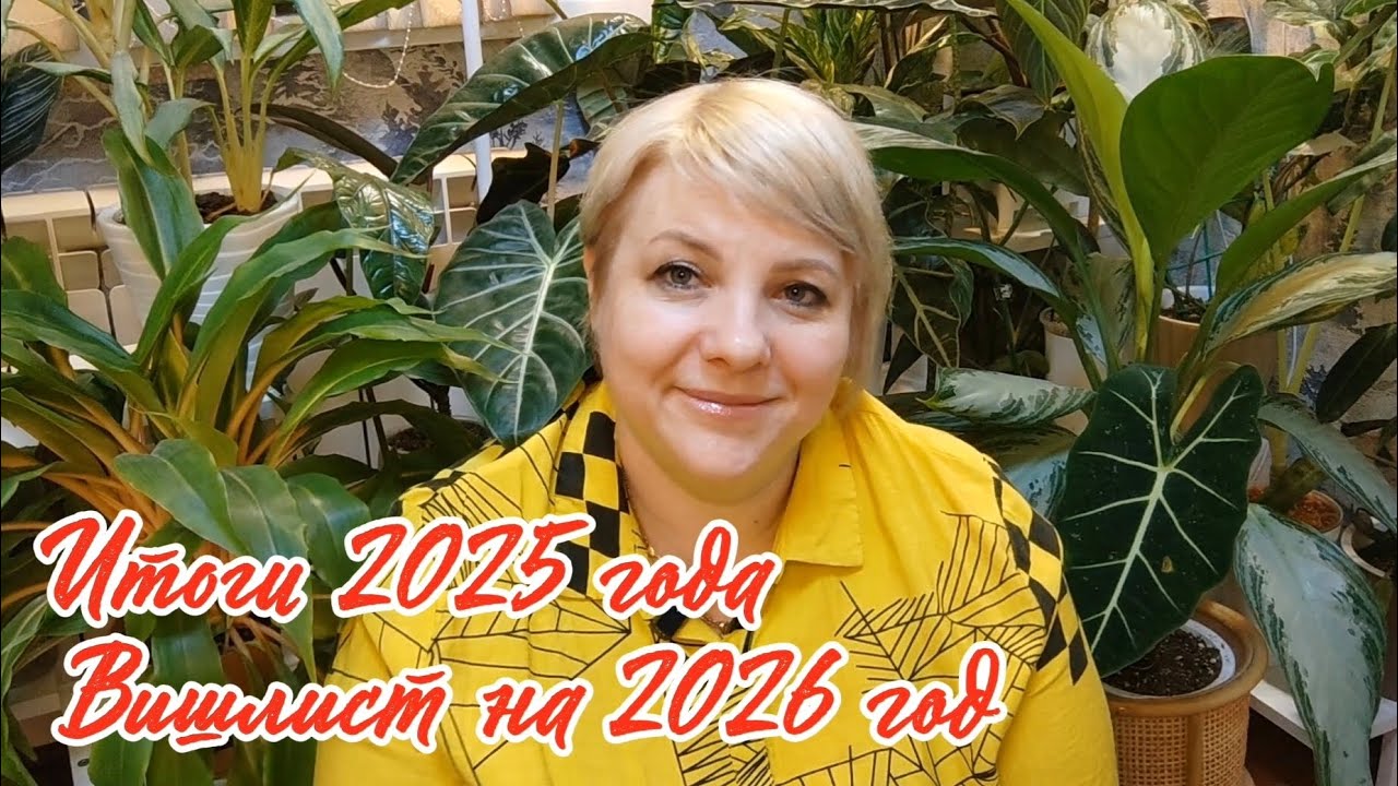 Итоги  2025 года | Вишлист на 2026 год 