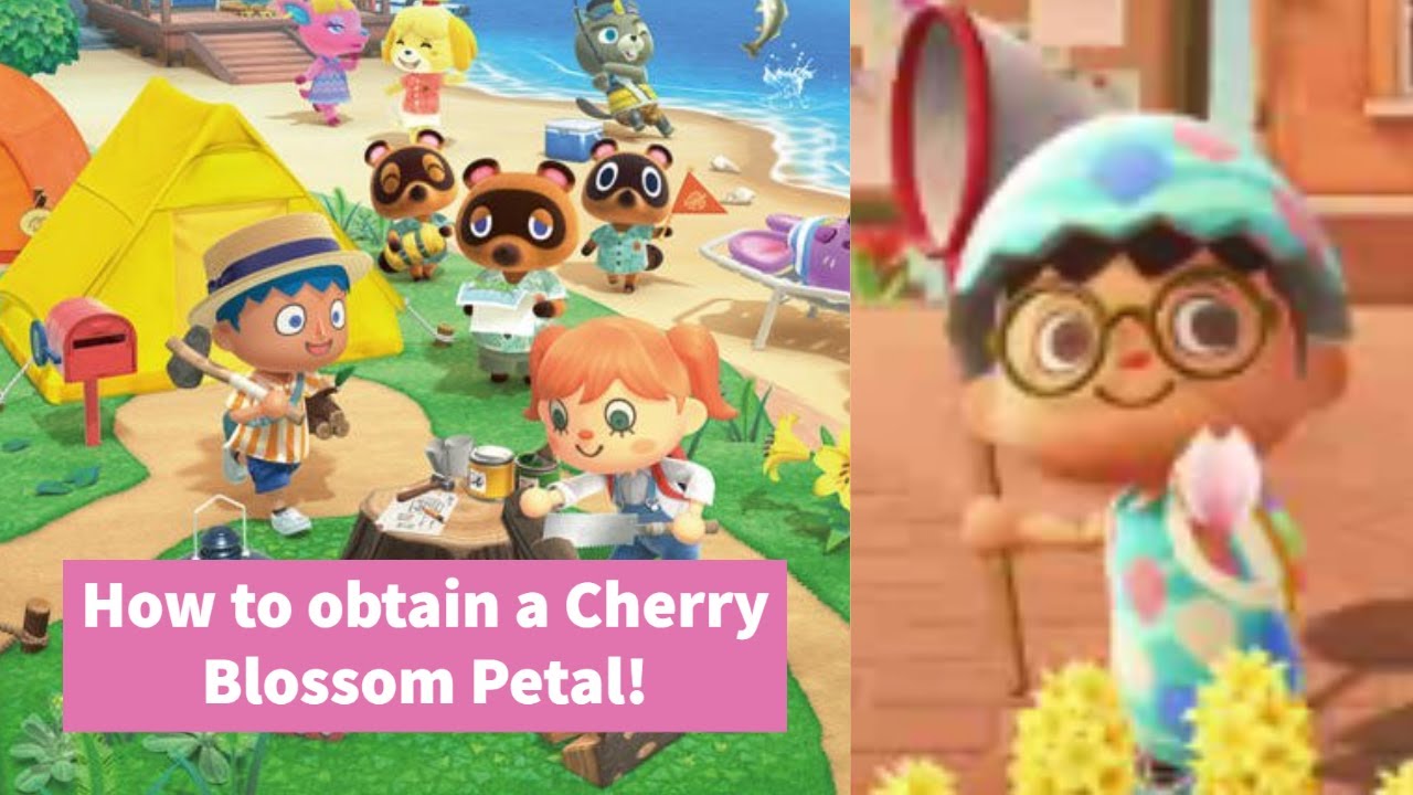 How to Obtain a Cherry Blossom Petal Cherry Blossom Petal Animal