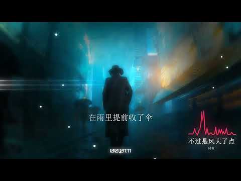 2023華語網絡流行音樂 ||《不過是風大了點》|| 付豪 || 動態歌詞