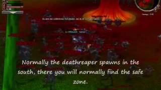 Metin2 Guide - DT floor 8-9 english