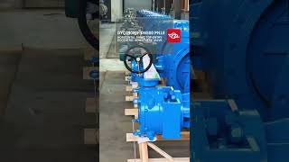 DYQ340H／F DN800 PN10 Horizontal Shaft Top-Entry Eccentric Hemisphere Valve
