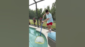 I Rescued a Baby Poisonous￼ Snake in my Pool!! 😱 #shorts