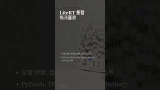 Google Tensor SDK 베타 출시, LiteRT 통합으로 더 쉬워진 온디바이스 AI