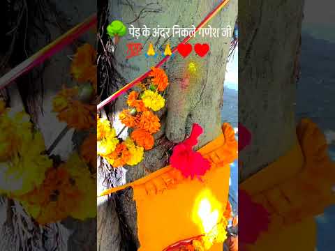 वट वृक्ष में साक्षात बनी गणेश जी की प्रतिमा 😱🙏 | अद्भुत गणेश दर्शन | Ganesh Ji Idol #shorts #ganesh