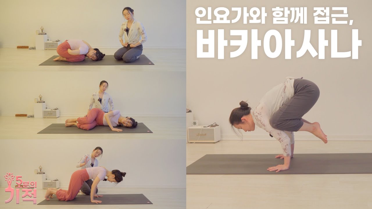 인요가 동작들로 바카아사나를 위한 감각 느끼기 #인빈야사 접근법