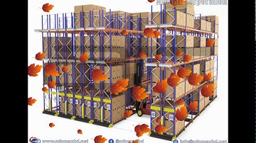 Radio Shuttle Racking System, Pallet Runner Shuttle Storage, Pallet Mole System
