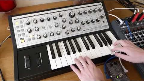 Moog Sub Phatty & Effector 13/Devi Ever Torn