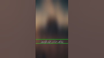 حالات واتساب دينية  ( آيات من الذكر الحكيم )