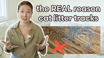 The BAD HABITS That Cause Cat Litter Tracking