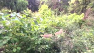 Riven & Chuck 1St Trail Together