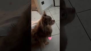 Cascasse il mondo, lui è sempre lì... ❤️