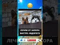 #юмор #шуточное #смех #смешновидео #анекдоты #смешнойшортс #viral #funny