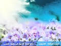 وليمة العرس العلامة العثيمين