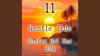Gentle Tide Breeze Creator Profile