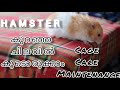 What's in my  hamster cage ••how to set |Hamster care| malayalam