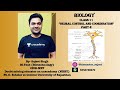 Neural Control &amp; Co-ordination|Part-2|Biology|NCERT|NEET|#BioMaster  @khangsresearchcentre1685