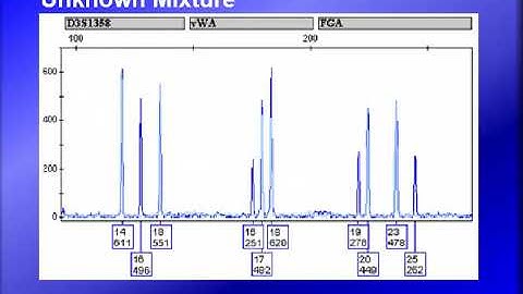 animation on how a known contributor sample is used to infer the profile of an unknown contributor