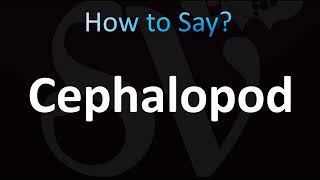How to Pronounce Cephalopod (CORRECTLY!)