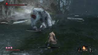 Guardian ass