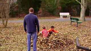 MOV01909.AVI