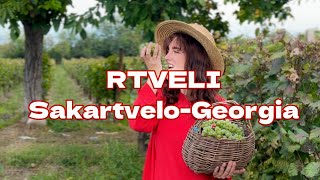 видео: РТВЕЛИ 2023- HARVEST- Самый яркий праздник в Грузии картинка: РТВЕЛИ 2023- HARVEST- Самый яркий праздник в Грузии