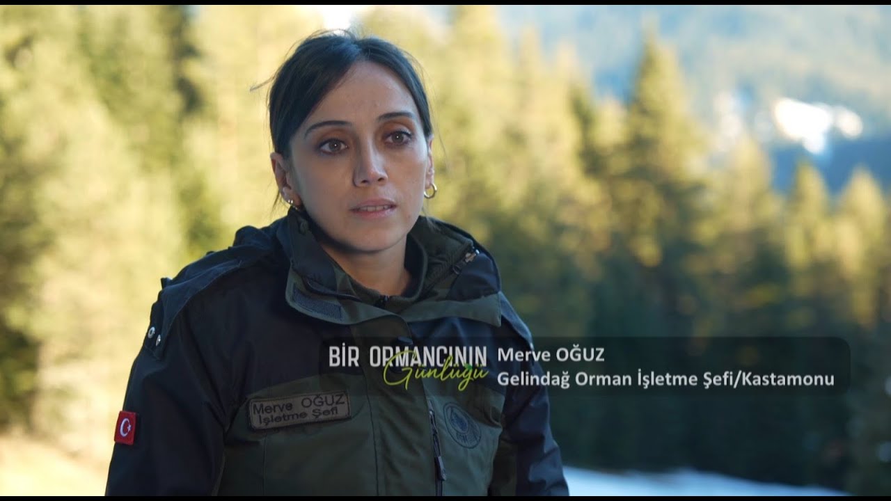 Bir Ormancının Günlüğü 🌳 Kastamonu Gelindağ Orman İşletme Şefliği