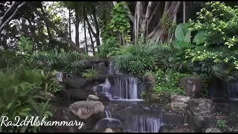 تلاوة راجح الحارثي-مونتاجات العز