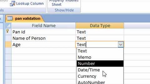 How to apply pan card validation in ms access in hindi and english