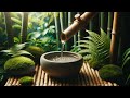 Relaxing Zen Music 24/7, Meditation, Spa, Sleep, Calming Music, Study Music, Sleep Meditation