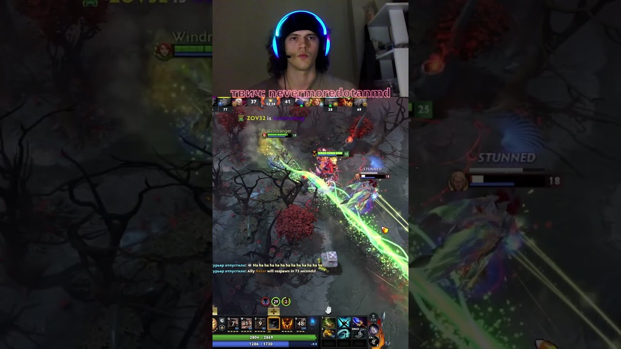 Сфчик навел суеты  