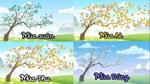 Bé Khám Phá 4 Mùa Trong Năm - Mùa Xuân, Hè, Thu, Đông