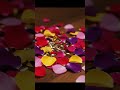 コマが猫にお花🌸、えぇ？ #technology #aivideo #relaxing #cute #flowers