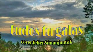 Download Lagu TUDOS TU GALAS - Cover Feber Simanjuntak   || Lagu Batak Populer Terbaru MP3
