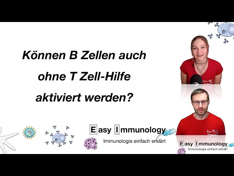 Video: Können retikuläre Zellen als antigenpräsentierende Zellen fungieren?