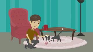 Pros And Cons Of Indoor-Only Cat Management