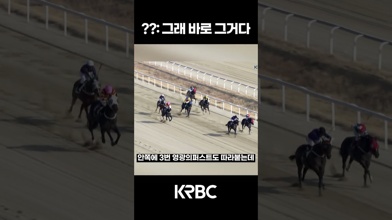 ??:그래 바로 그거다  #shorts #경마방송 #기수 #경주마 #경마 #KoreaHorseRacing