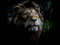 Son Of Mufasa The Lion King Papaoutai Mikeeysmind Chill77 Edit 