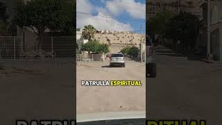 un tazo dorado #viralvideo #fypシ #viralvideo #shortvideo